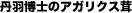 丹羽博士のアガリクス茸