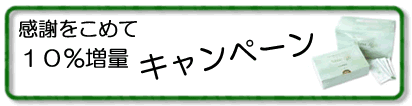 ﾈｵﾋﾞｽ　ｷｬﾝﾍﾟｰﾝ　情報